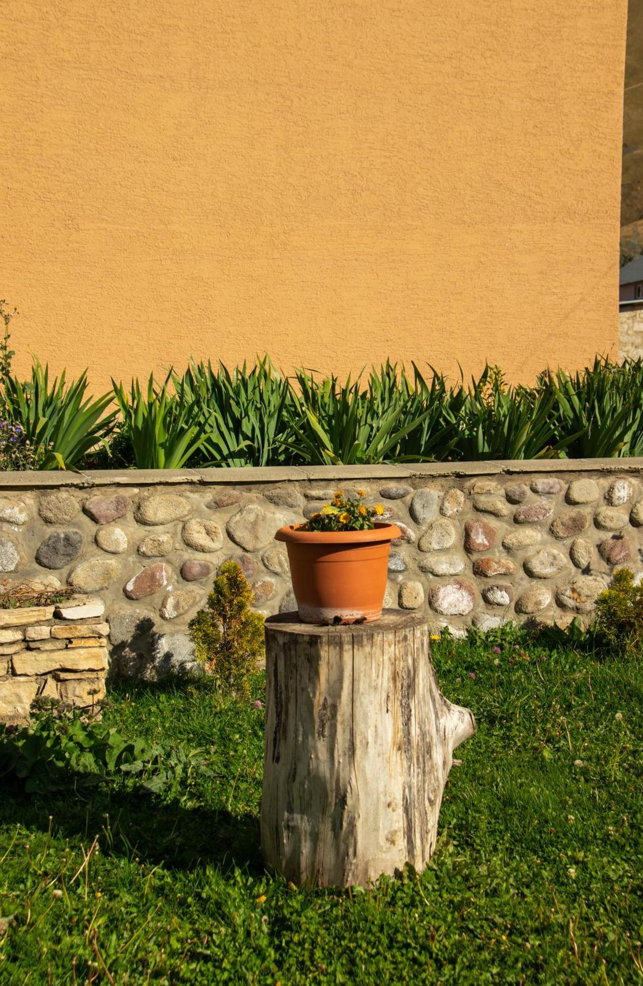 Guest House Oxygen Stepantsminda Exterior photo